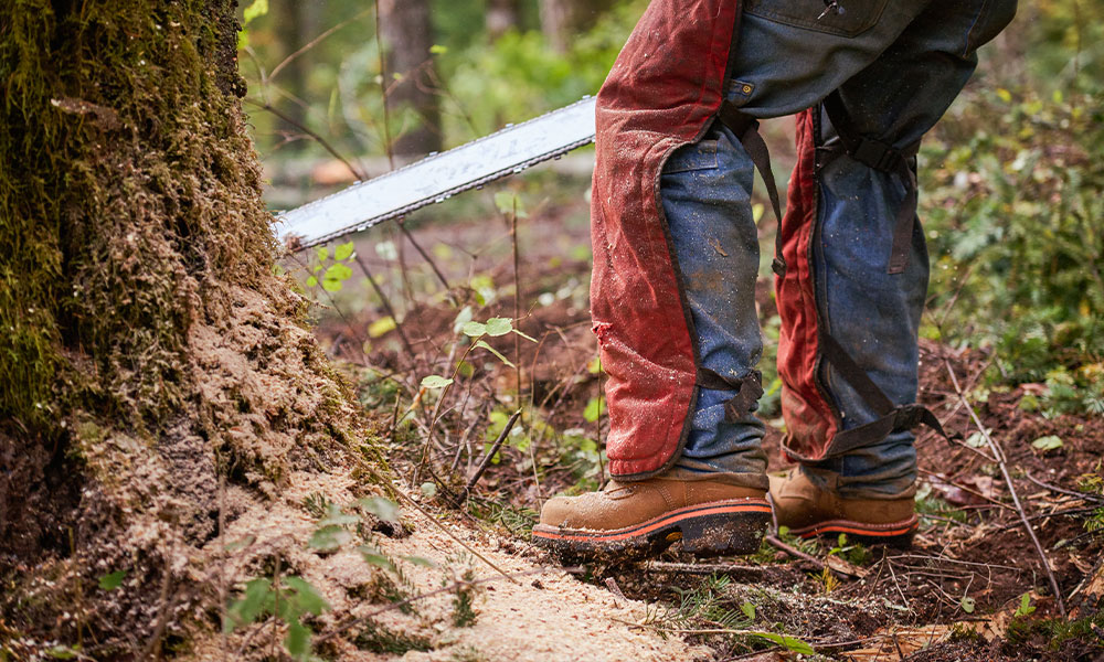 A man cutting a tree and wearing Thunderstruck 10" Waterproof Nano Comp Toe boot in tan.